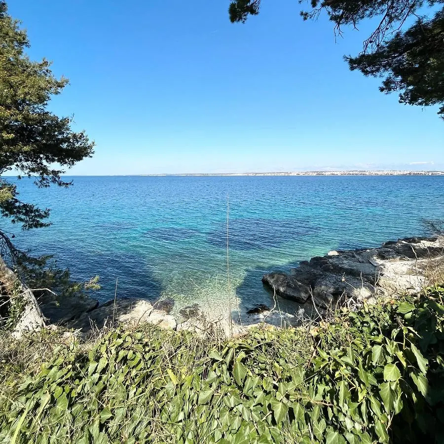 Island House Osljak Preko