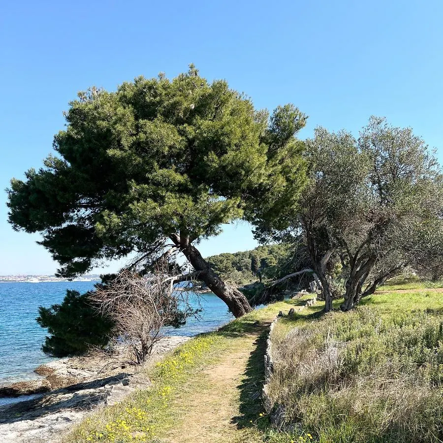 Holiday home Island House Osljak Preko